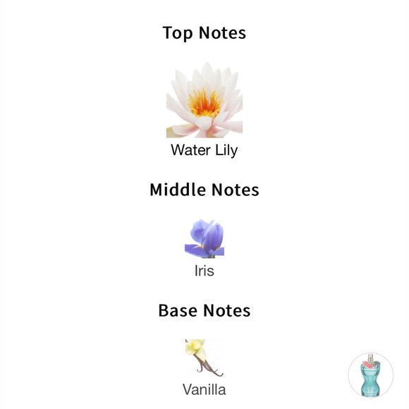 La Belle Fleur Terrible EDP Jean Paul Gaultier - Picture 4 of 4